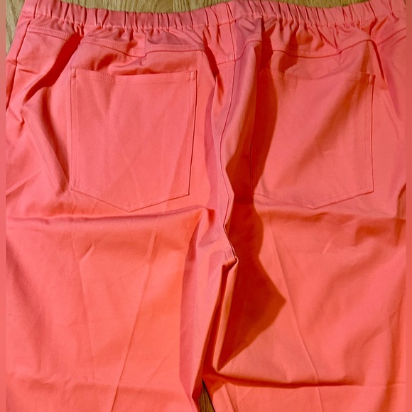 Isaac Mizrahi Live! 24/7 Stretch Ankle Pants with Pintuck Coral Curvy Sz 26 - Picture 7 of 10